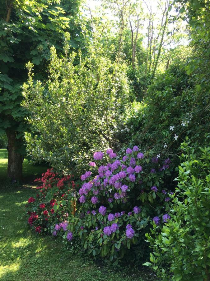 Chambres D Hotes Chez Francoise Et Michel Piscine 4 Chambres 8 Lits Chaumes-en-Brie 外观 照片